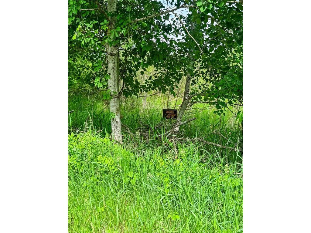 View of Land at 27xx 300th Avenue, Isanti MN 55040, Isanti (24 of 26) - Mike Wilen | Minnesota Team Real Estate