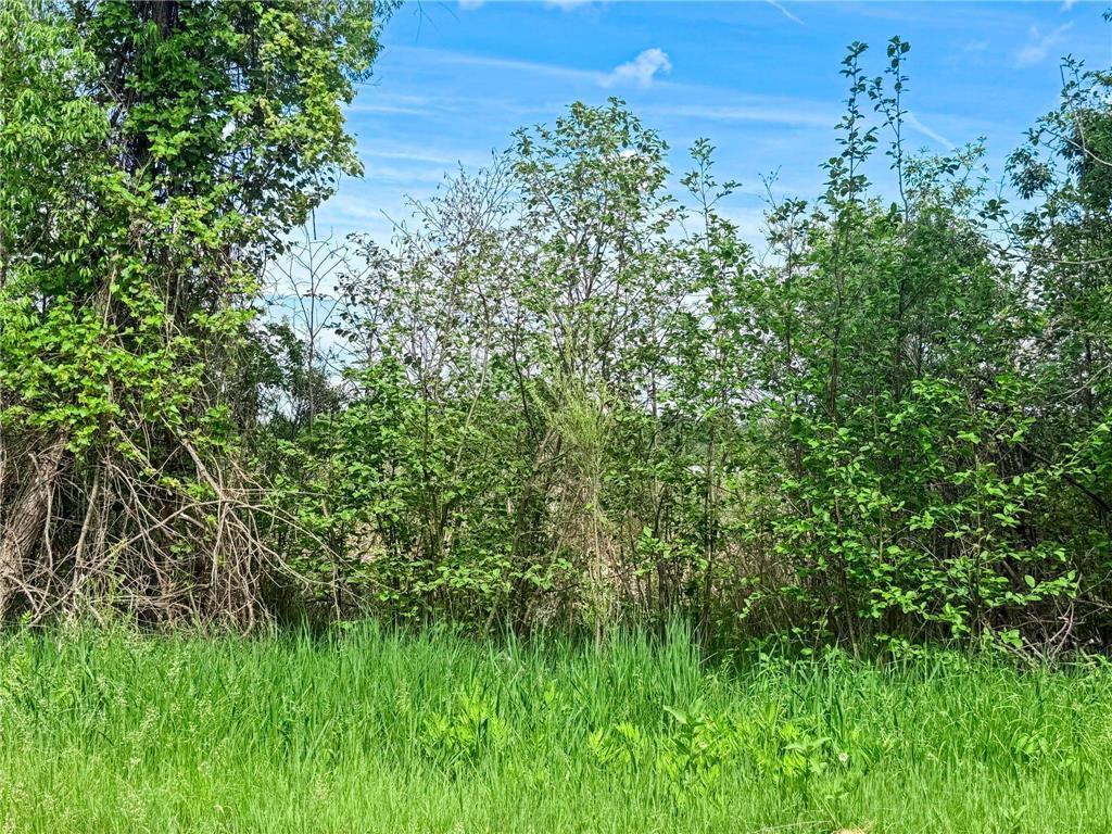 View of Land at 27xx 300th Avenue, Isanti MN 55040, Isanti (23 of 26) - Mike Wilen | Minnesota Team Real Estate