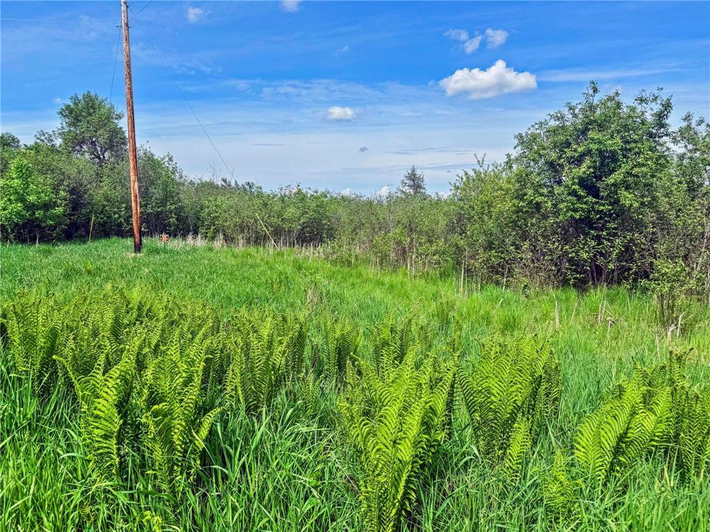 View of Land at 27xx 300th Avenue, Isanti MN 55040, Isanti (22 of 26) - Mike Wilen | Minnesota Team Real Estate