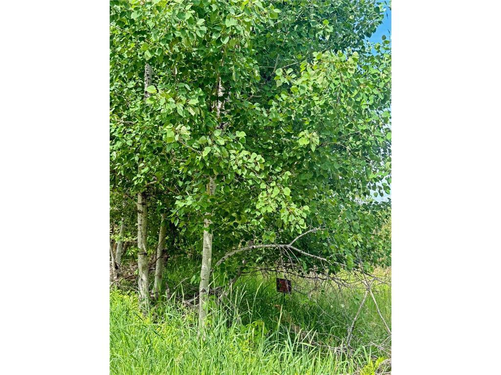 View of Land at 27xx 300th Avenue, Isanti MN 55040, Isanti (26 of 26) - Mike Wilen | Minnesota Team Real Estate
