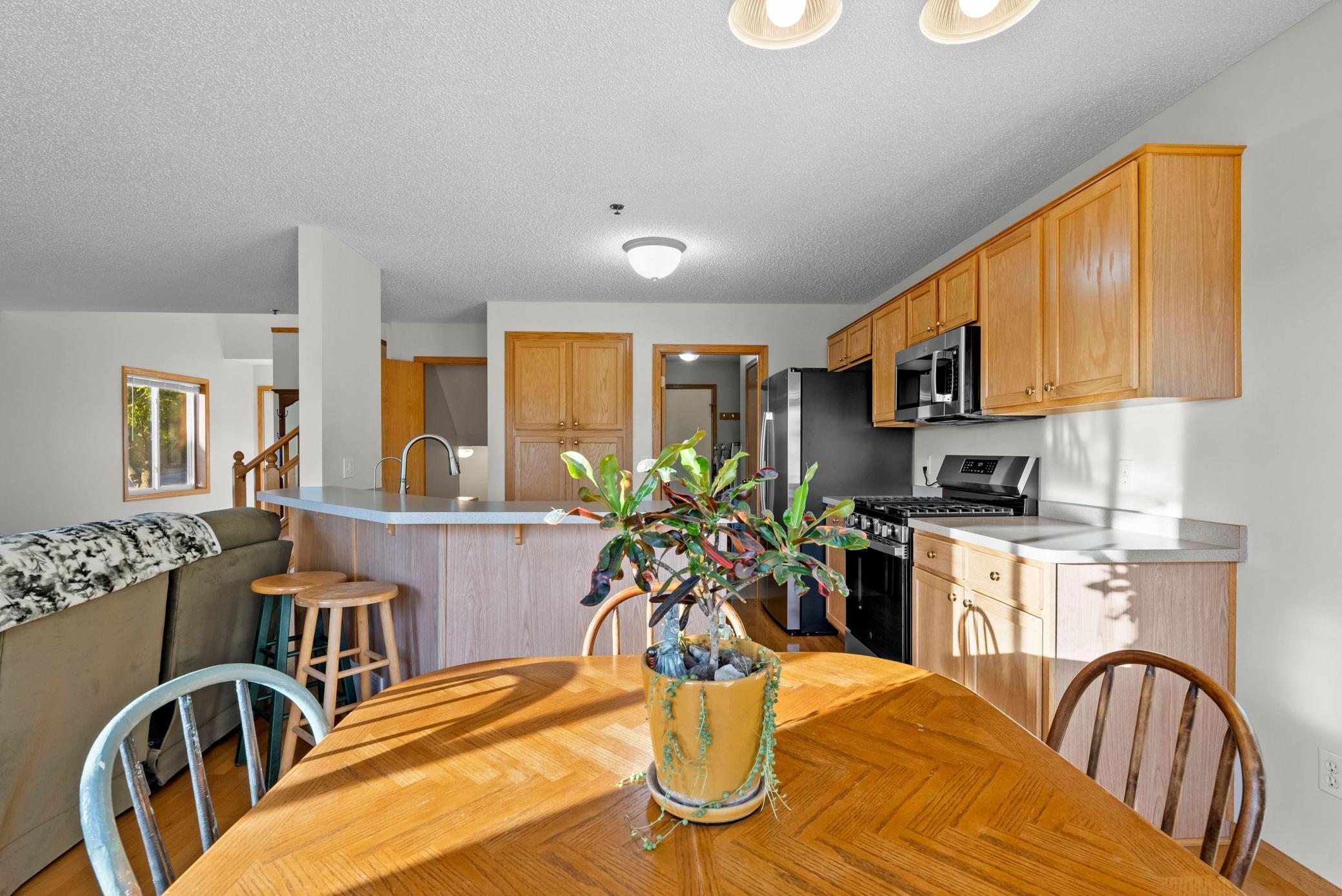 View of Residential at 497 Pleasant Lane, Chaska MN 55318, Chaska (10 of 31) - Mike Wilen | Minnesota Team Real Estate