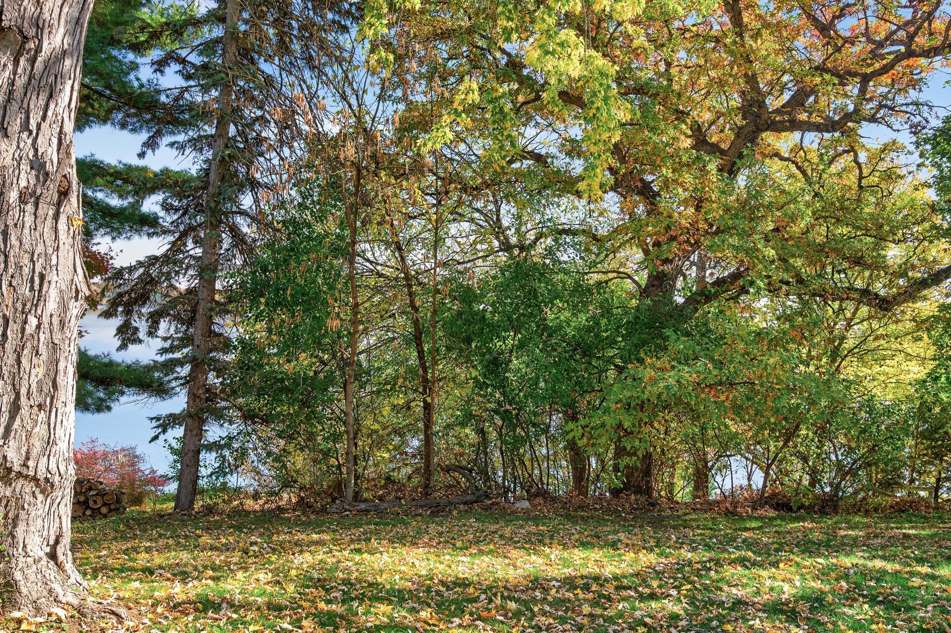 View of Land at 3248 Owasso Heights Road, Shoreview MN 55126, Shoreview (8 of 29) - Mike Wilen | Minnesota Team Real Estate