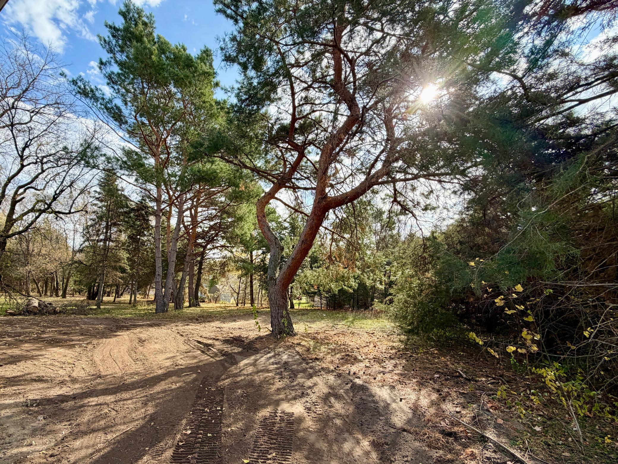 View of Residential at 980 Porter Street, Clearwater MN 55320, Clearwater (11 of 13) - Mike Wilen | Minnesota Team Real Estate