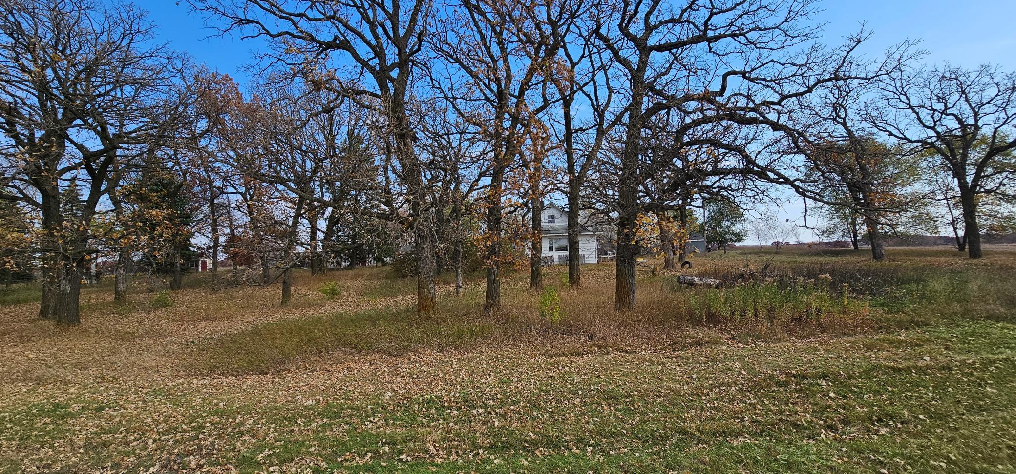 View of Residential at 25275 104th Street, Zimmerman MN 55398, Zimmerman (4 of 21) - Mike Wilen | Minnesota Team Real Estate