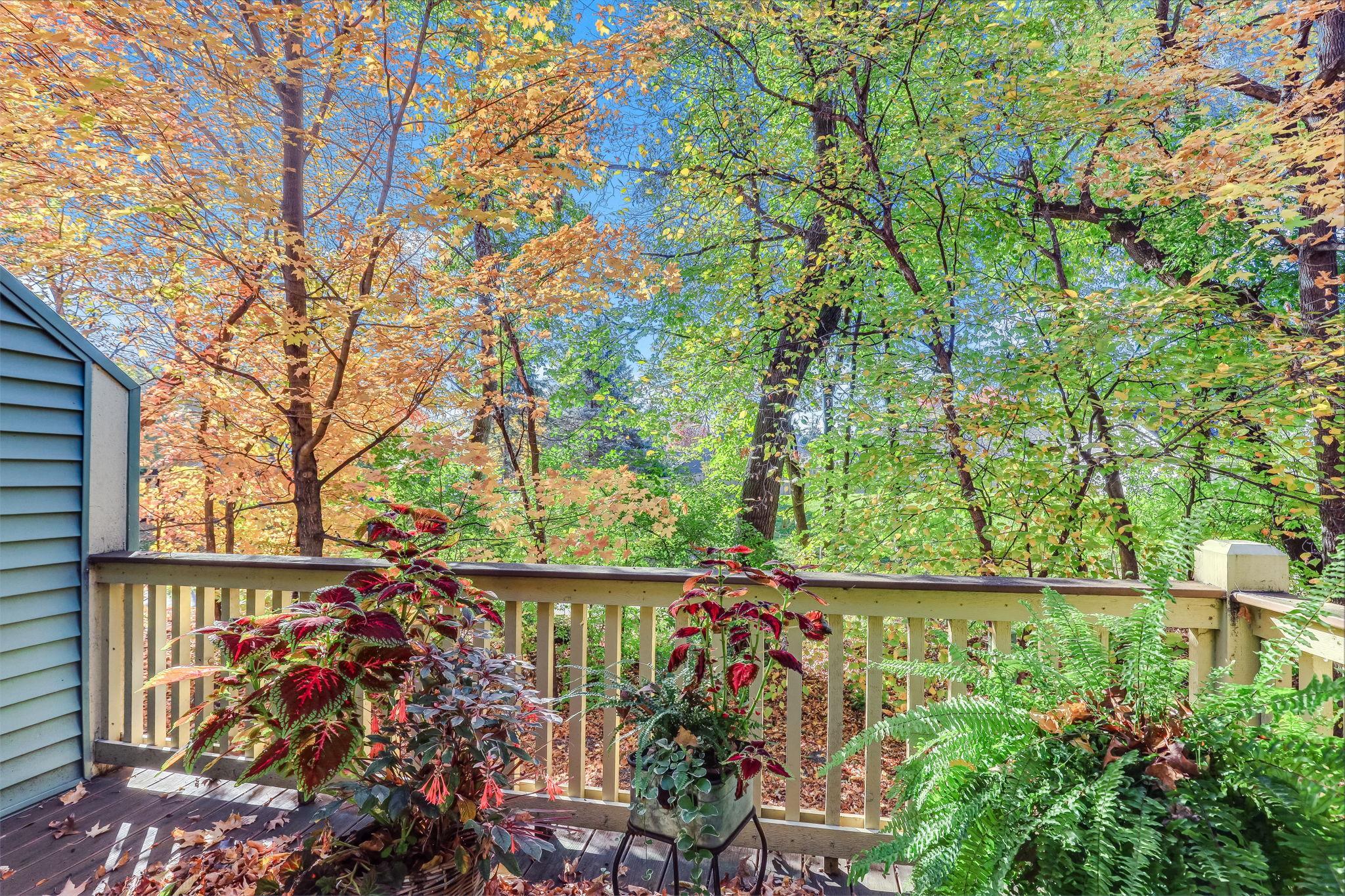 View of Residential at 15725 26th Avenue #C, Plymouth MN 55447, Plymouth (10 of 29) - Mike Wilen | Minnesota Team Real Estate