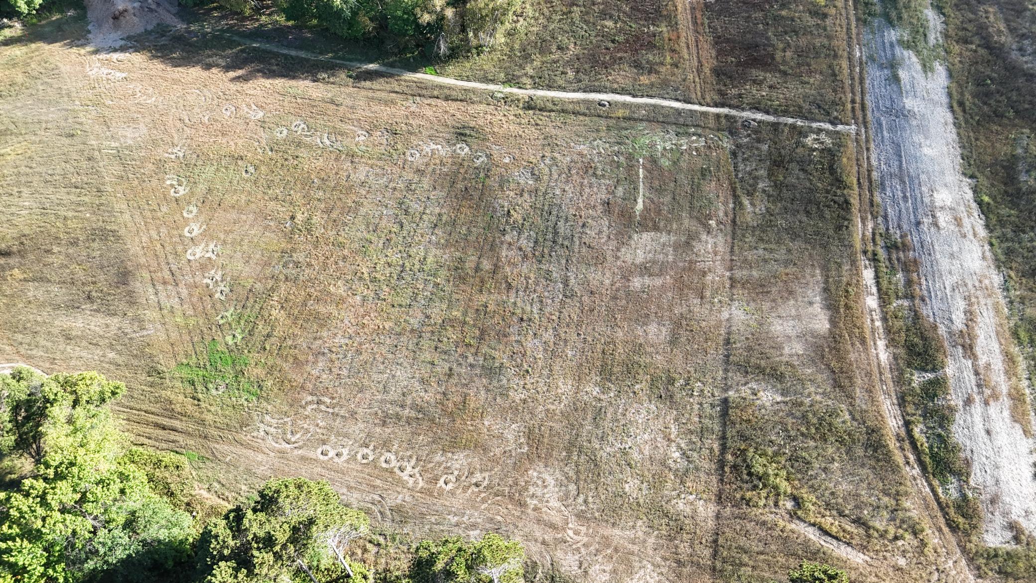 View of Residential Lot at 3100 317th Court, Cambridge - Mike Wilen | Minnesota Team Real Estate