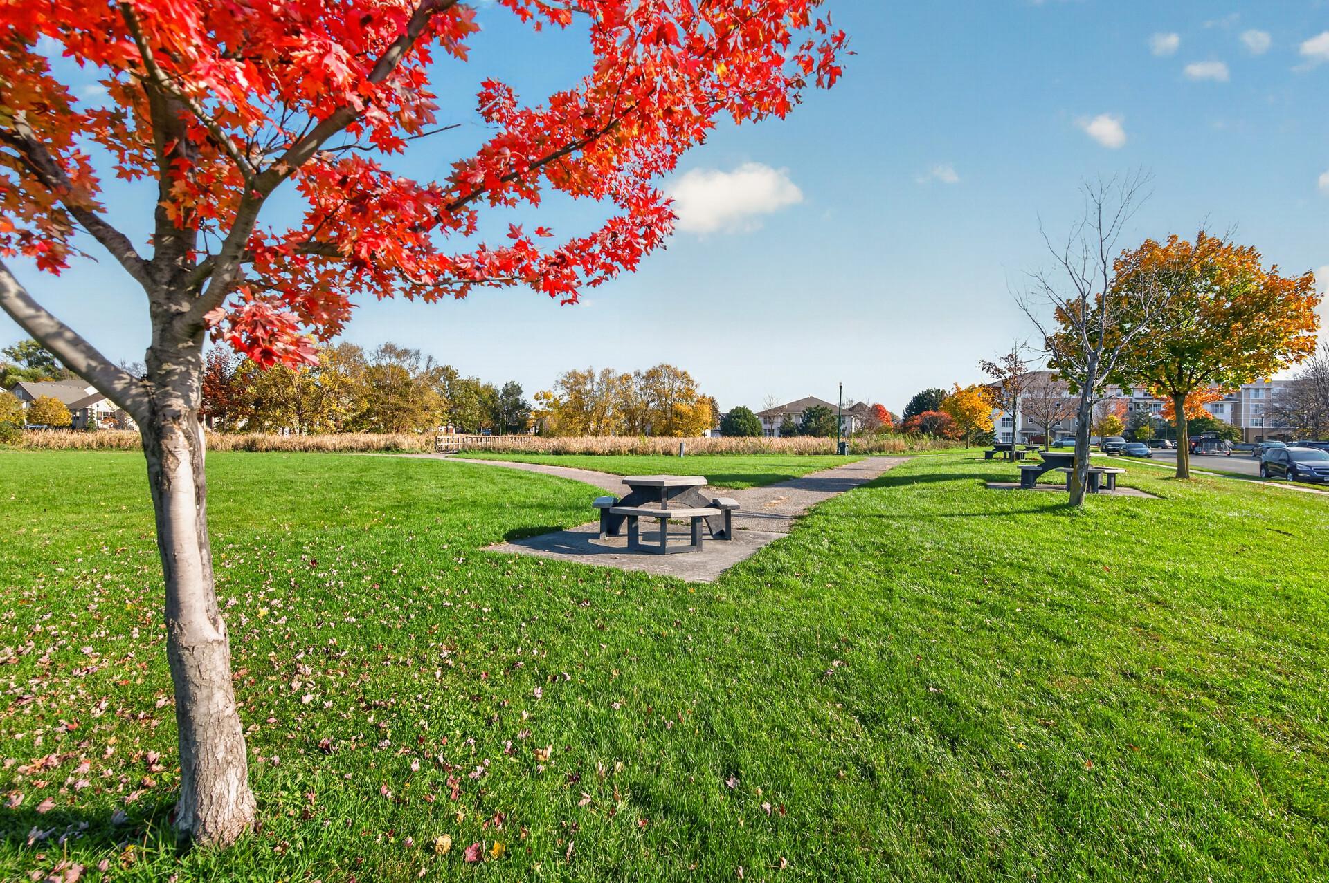 View of Residential at 2768 Clover Ridge Drive, Chaska MN 55318, Chaska (23 of 23) - Mike Wilen | Minnesota Team Real Estate