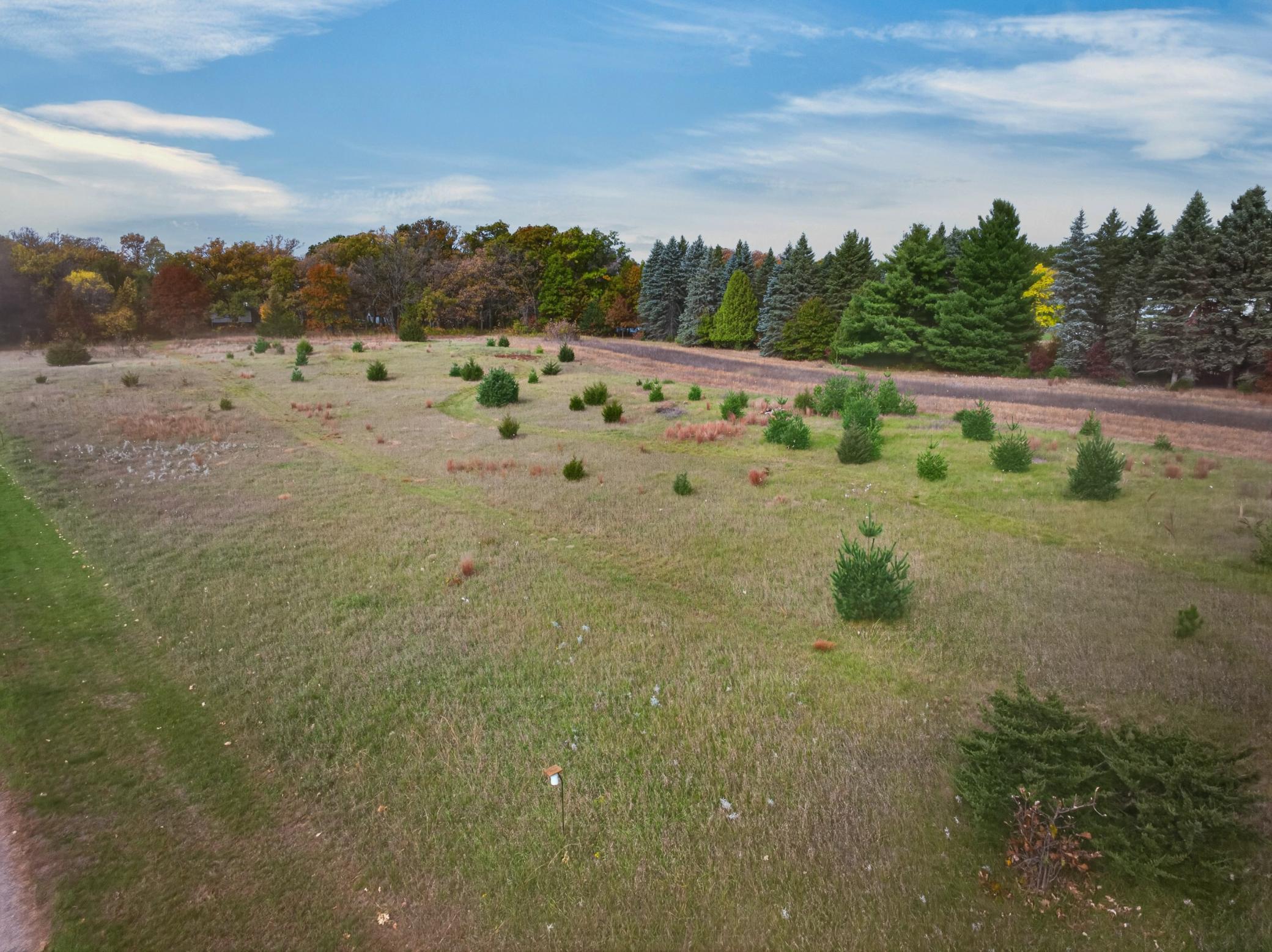 View of Residential at 12843 312th Avenue, Princeton MN 55371, Princeton (55 of 68) - Mike Wilen | Minnesota Team Real Estate