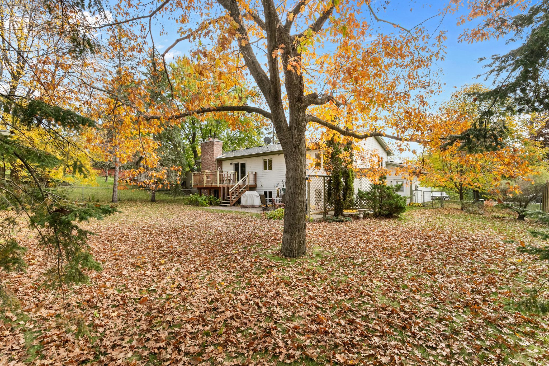 View of Residential at 555 Oak Drive, Vadnais Heights MN 55127, Vadnais Heights (6 of 47) - Mike Wilen | Minnesota Team Real Estate
