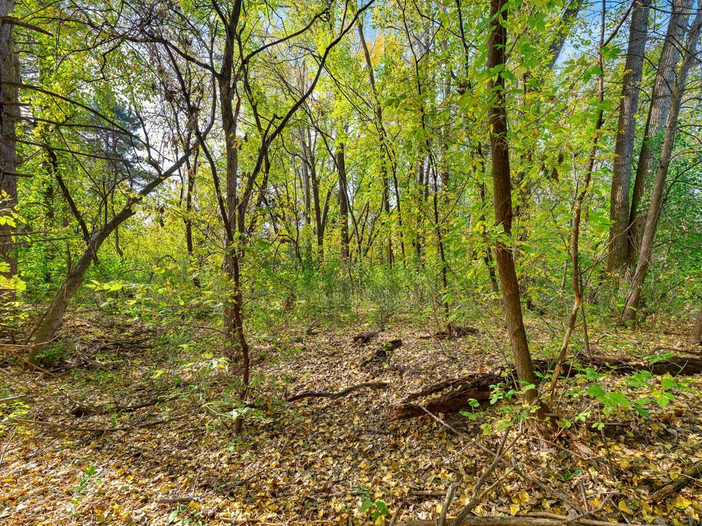 View of Land at xxxx Reidmond Avenue, Little Canada MN 55117, Little Canada (2 of 4) - Mike Wilen | Minnesota Team Real Estate