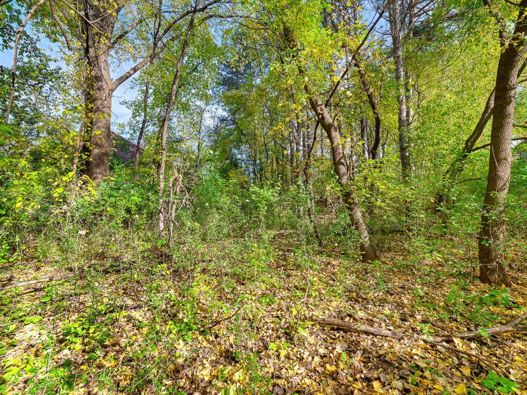 View of Land at xxxx Reidmond Avenue, Little Canada MN 55117, Little Canada (3 of 4) - Mike Wilen | Minnesota Team Real Estate