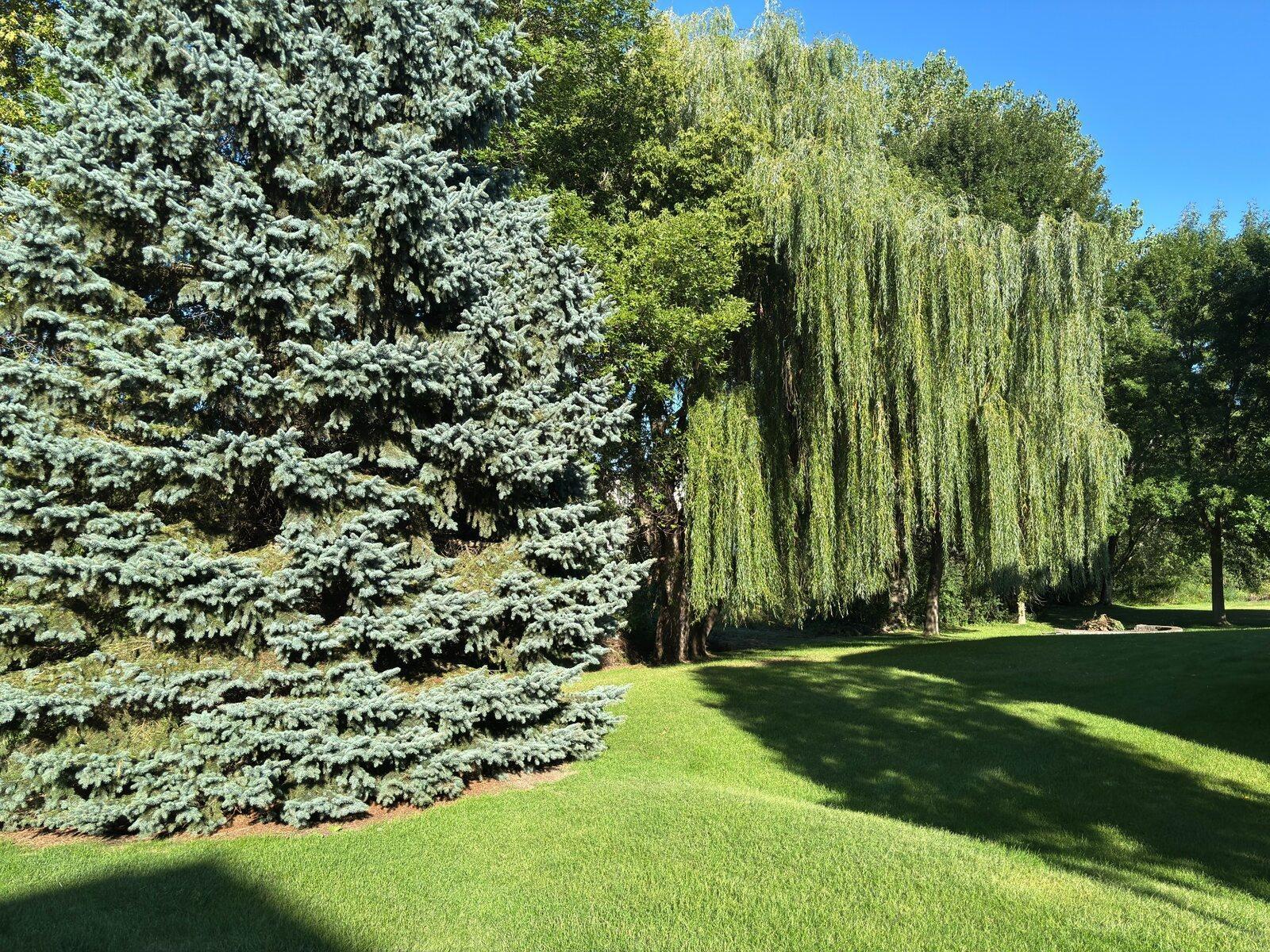 View of Residential at 9314 Peony Lane, Maple Grove MN 55311, Maple Grove (6 of 44) - Mike Wilen | Minnesota Team Real Estate