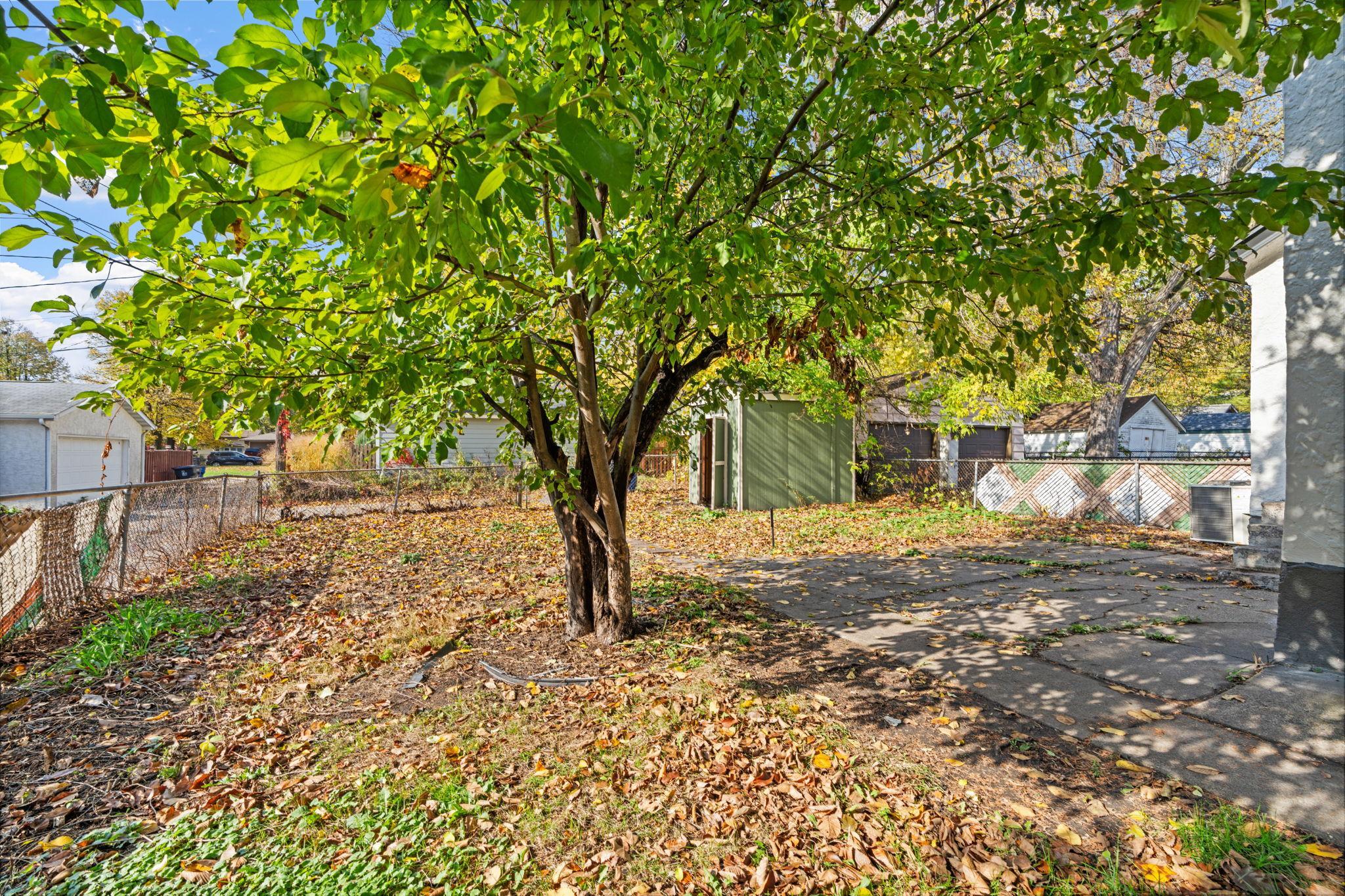 View of Residential at 339 Webster Street, Saint Paul MN 55102, Saint Paul (32 of 39) - Mike Wilen | Minnesota Team Real Estate