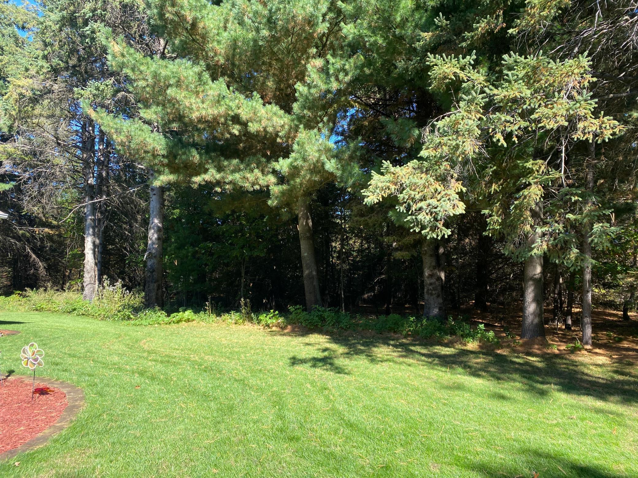 View of Residential at 32067 150th Street, Princeton MN 55371, Princeton (5 of 34) - Mike Wilen | Minnesota Team Real Estate