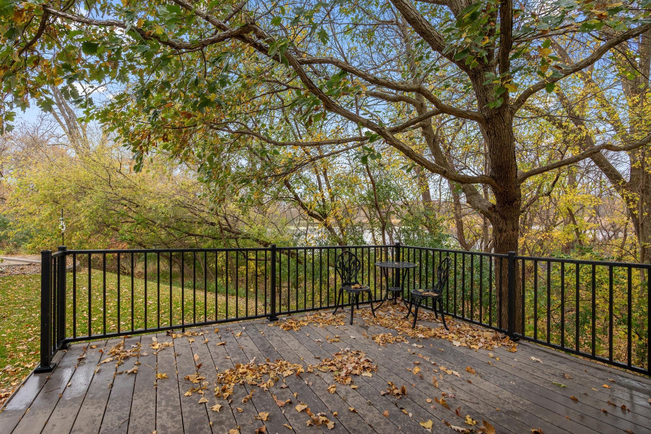 View of Residential at 162 Lakeview Road, Chanhassen MN 55317, Chanhassen (48 of 55) - Mike Wilen | Minnesota Team Real Estate