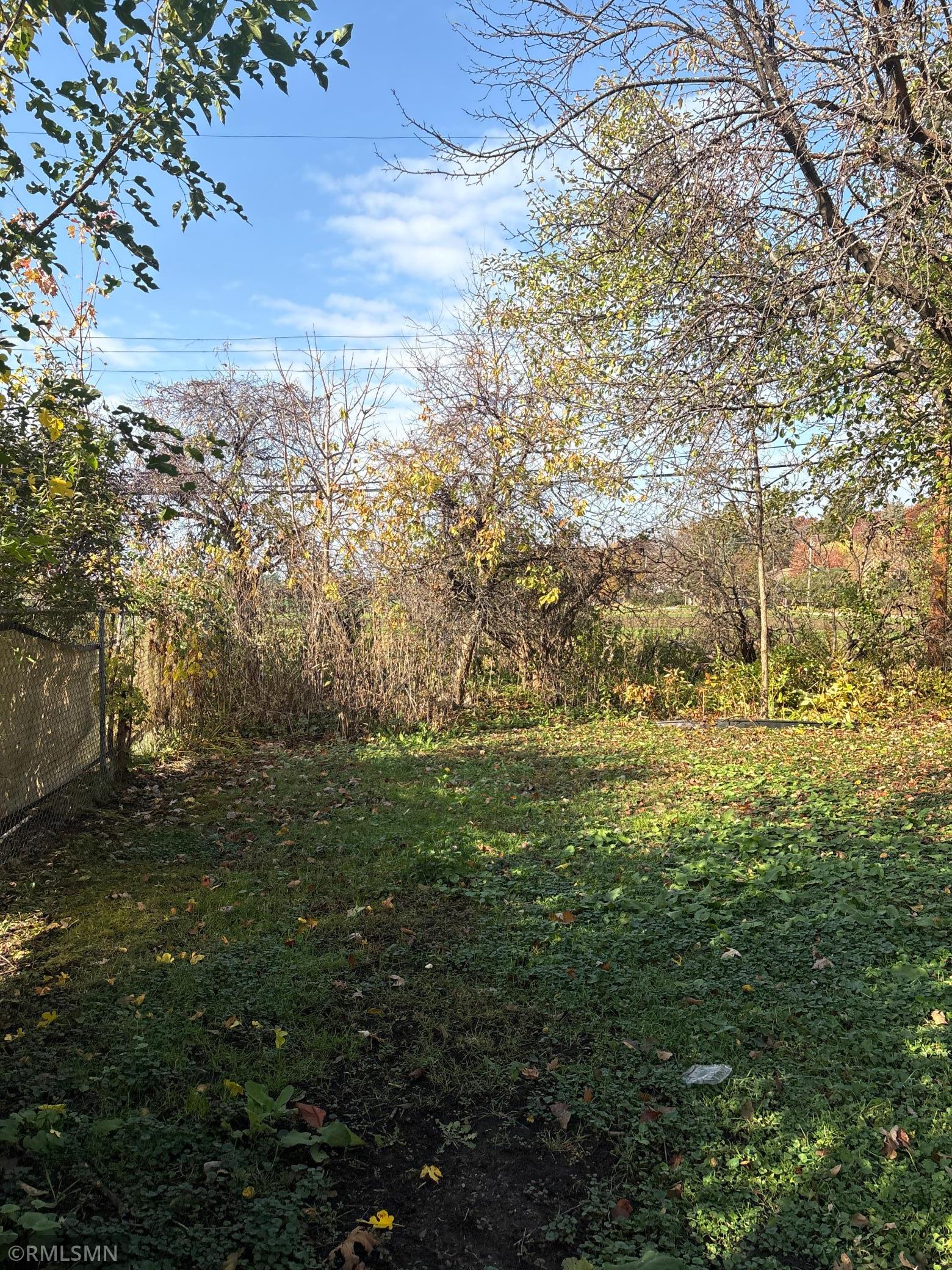 View of Residential at 1907 Snelling Avenue, Falcon Heights MN 55113, Falcon Heights (21 of 22) - Mike Wilen | Minnesota Team Real Estate