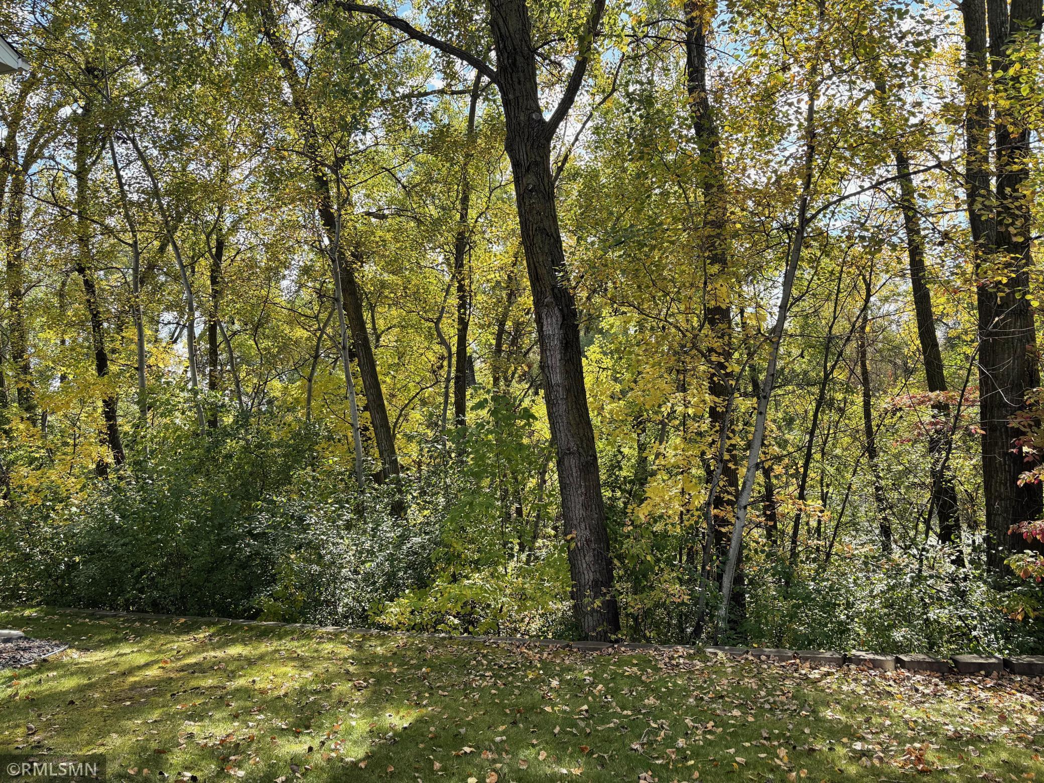 View of Residential at 4221 Bristol Run, Shoreview MN 55126, Shoreview (37 of 43) - Mike Wilen | Minnesota Team Real Estate