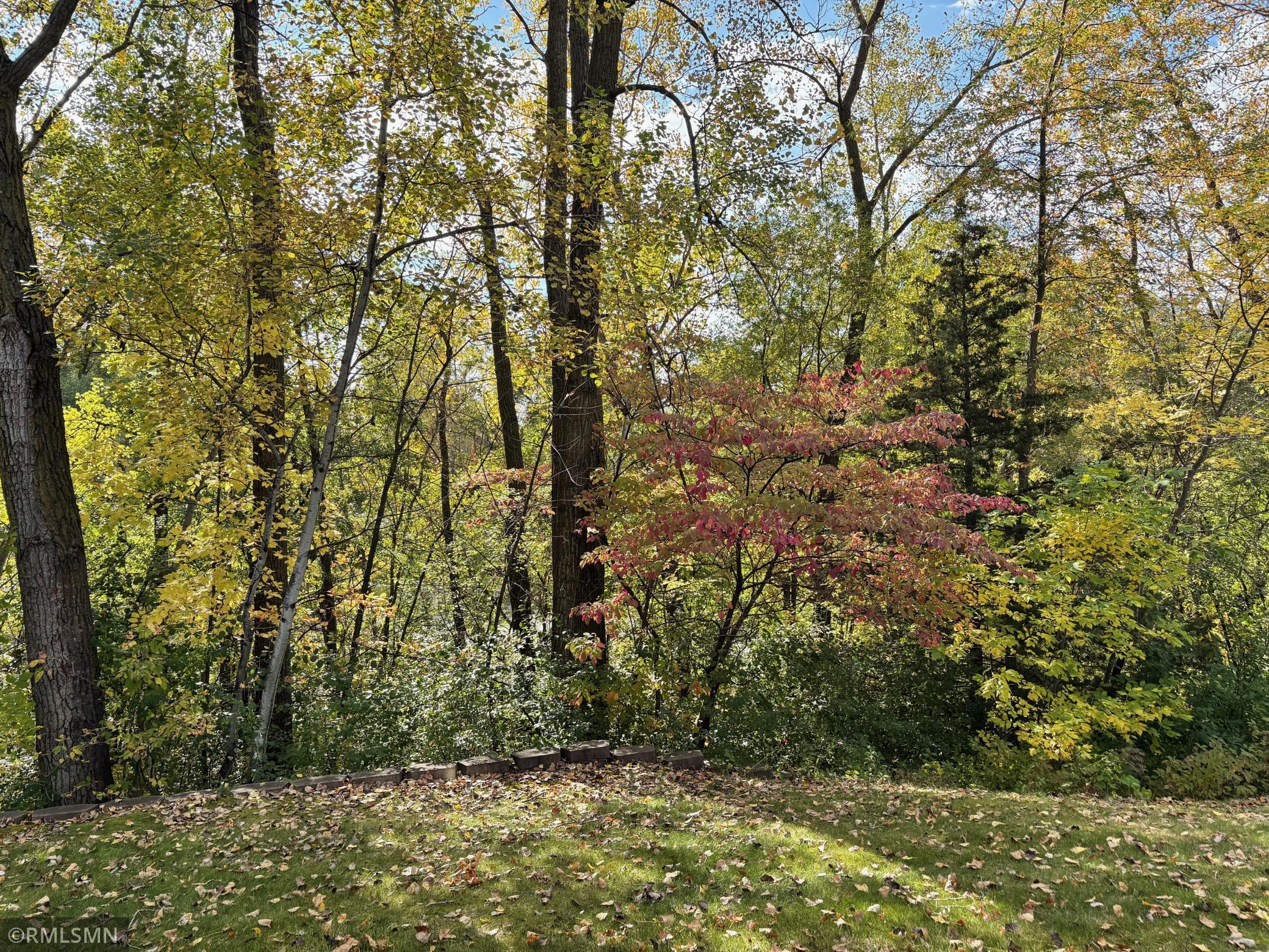 View of Residential at 4221 Bristol Run, Shoreview MN 55126, Shoreview (11 of 43) - Mike Wilen | Minnesota Team Real Estate