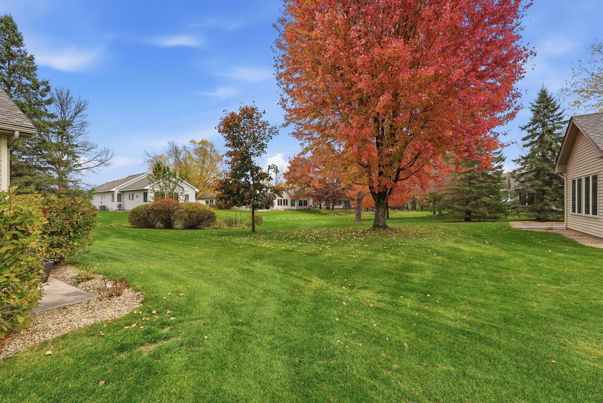 View of Residential at 14173 Butternut Street, Andover MN 55304, Andover (35 of 36) - Mike Wilen | Minnesota Team Real Estate