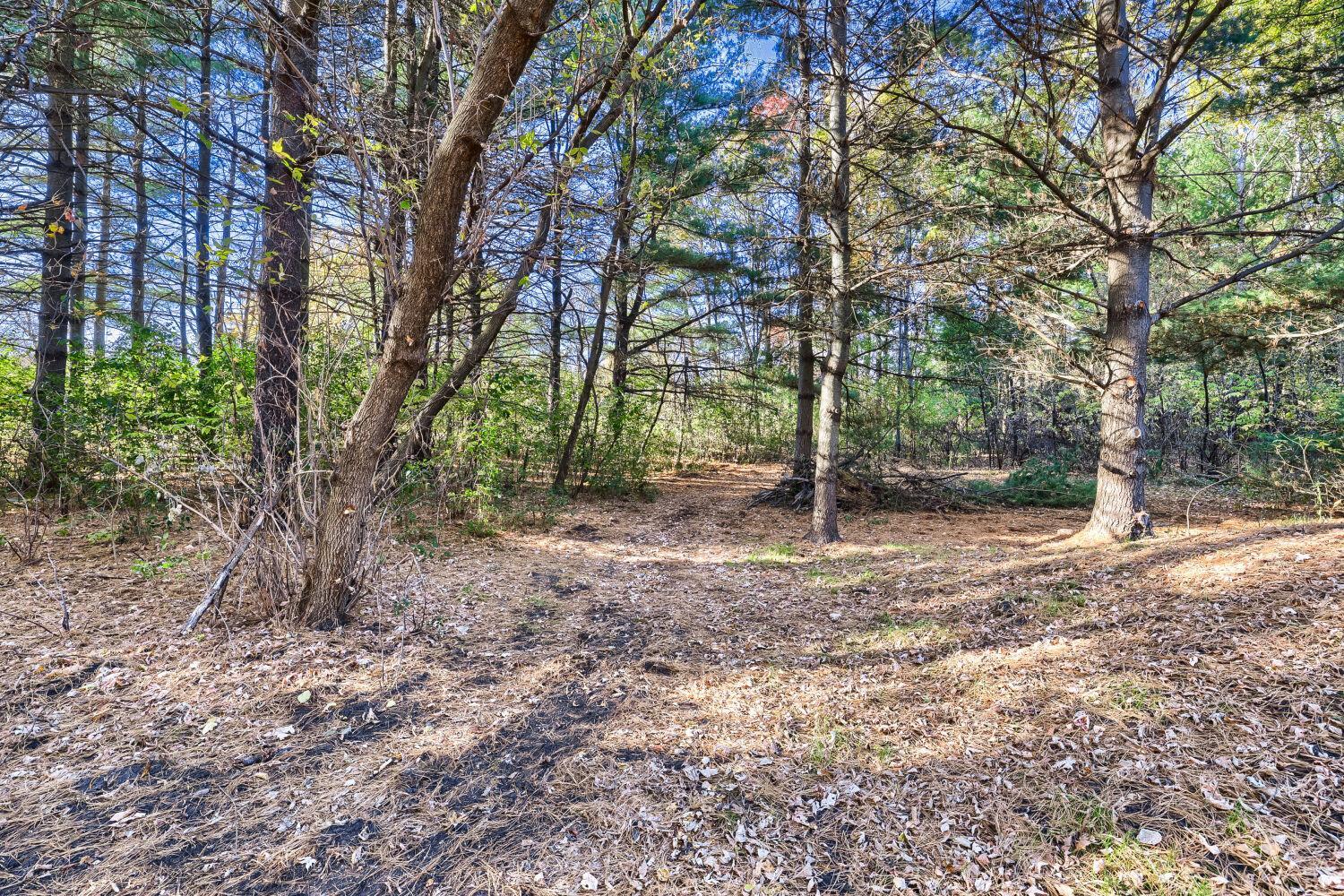 View of Residential at 7382 Sunset Avenue, Lino Lakes MN 55014, Lino Lakes (25 of 27) - Mike Wilen | Minnesota Team Real Estate