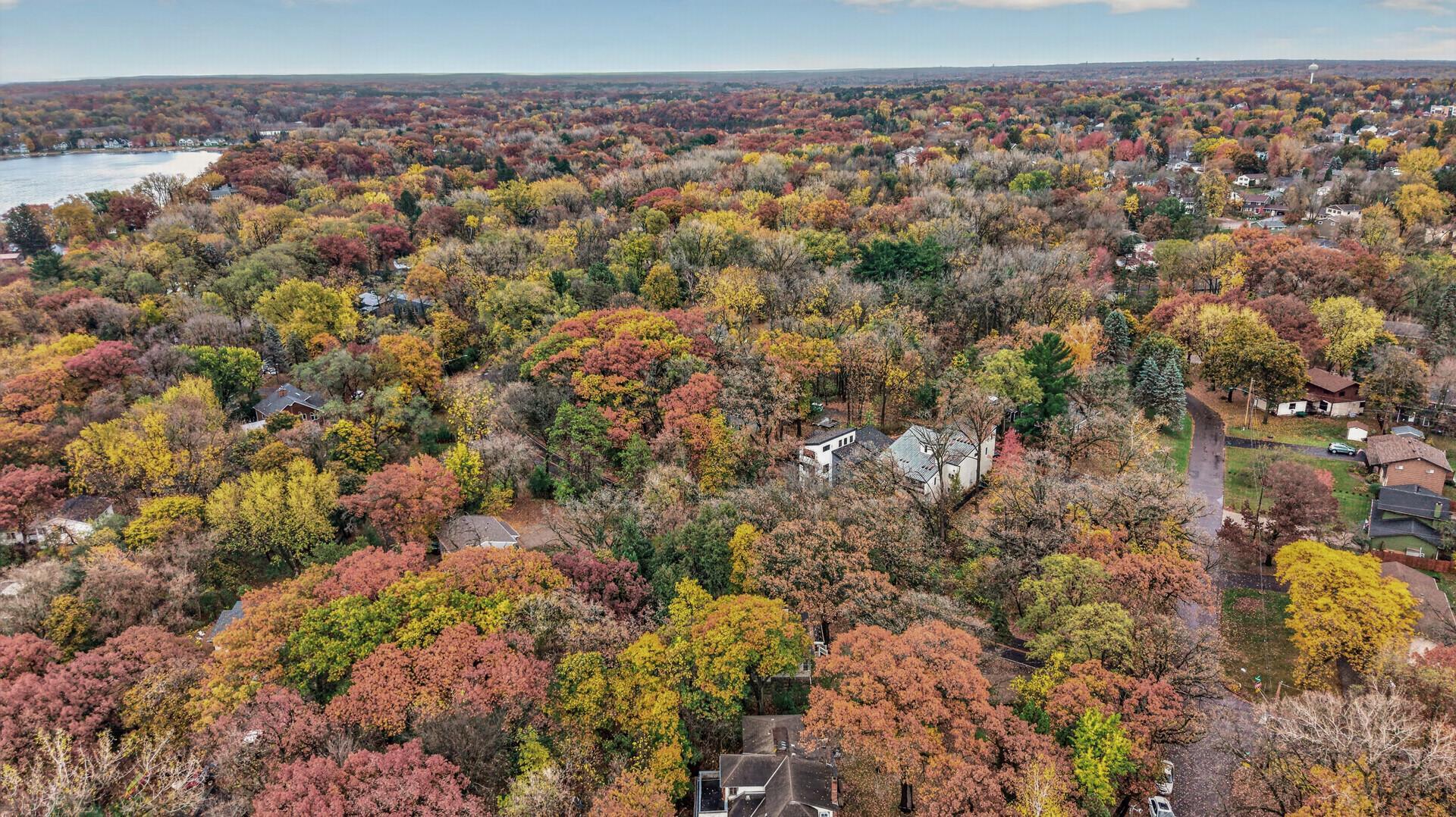 View of Residential at 215 Cedar Street, White Bear Lake MN 55110, White Bear Lake (50 of 54) - Mike Wilen | Minnesota Team Real Estate